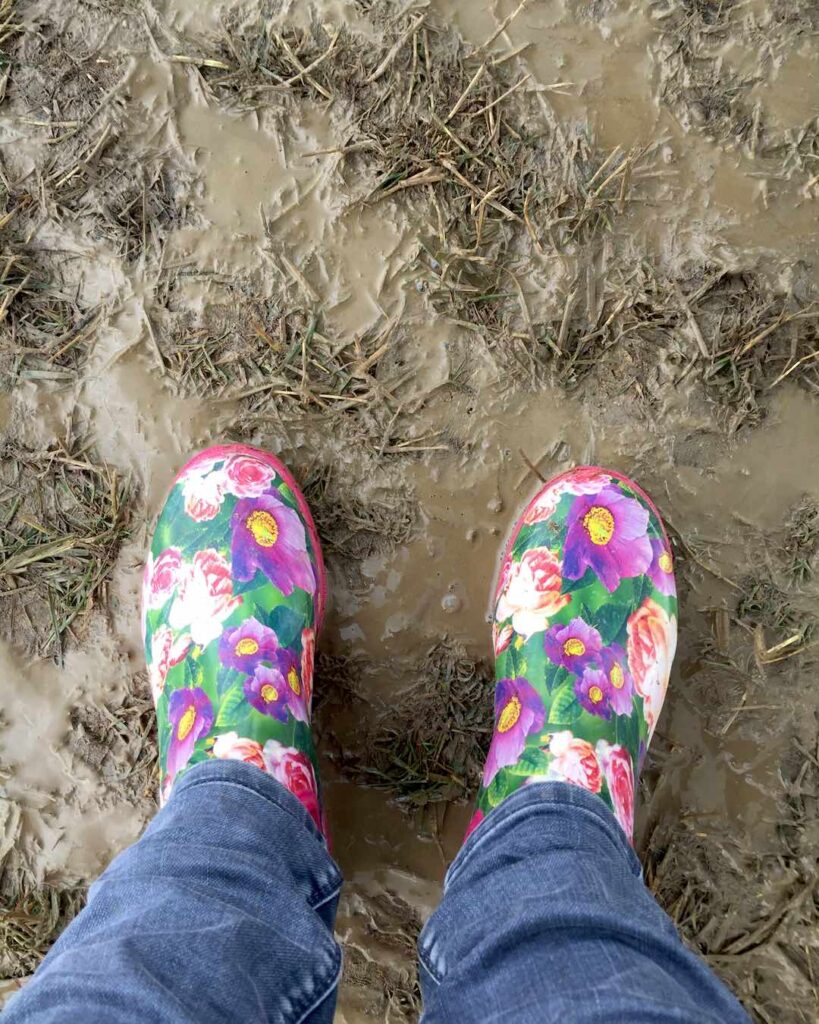 Geblümte Gummistiefel im Schlamm, von oben fotografiert