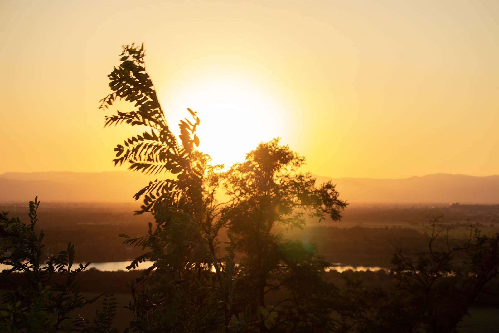 Die tief stehende Sonne über der weiten Ebene, davor Zweige im Gegenlicht