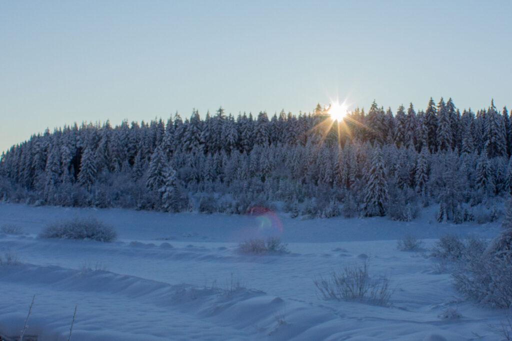 Die Sonnenstrahlen tun gut, im Tal unter dem Nebelmeer ist es grau in grau.