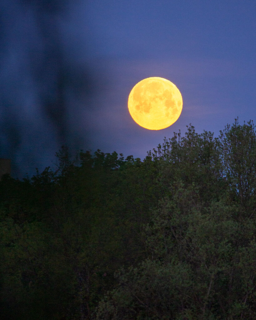 Supermond am Seepark in Freiburg gegen 5:30 Uhr am 27. April 2021