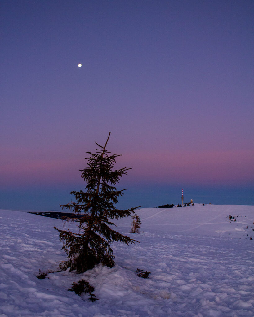 Blick nach Westen zum Feldberggipfel