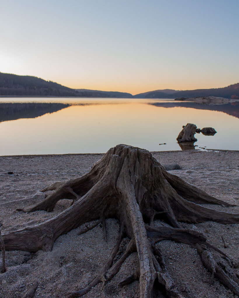 Baumstumpf am Schluchsee-Ufer