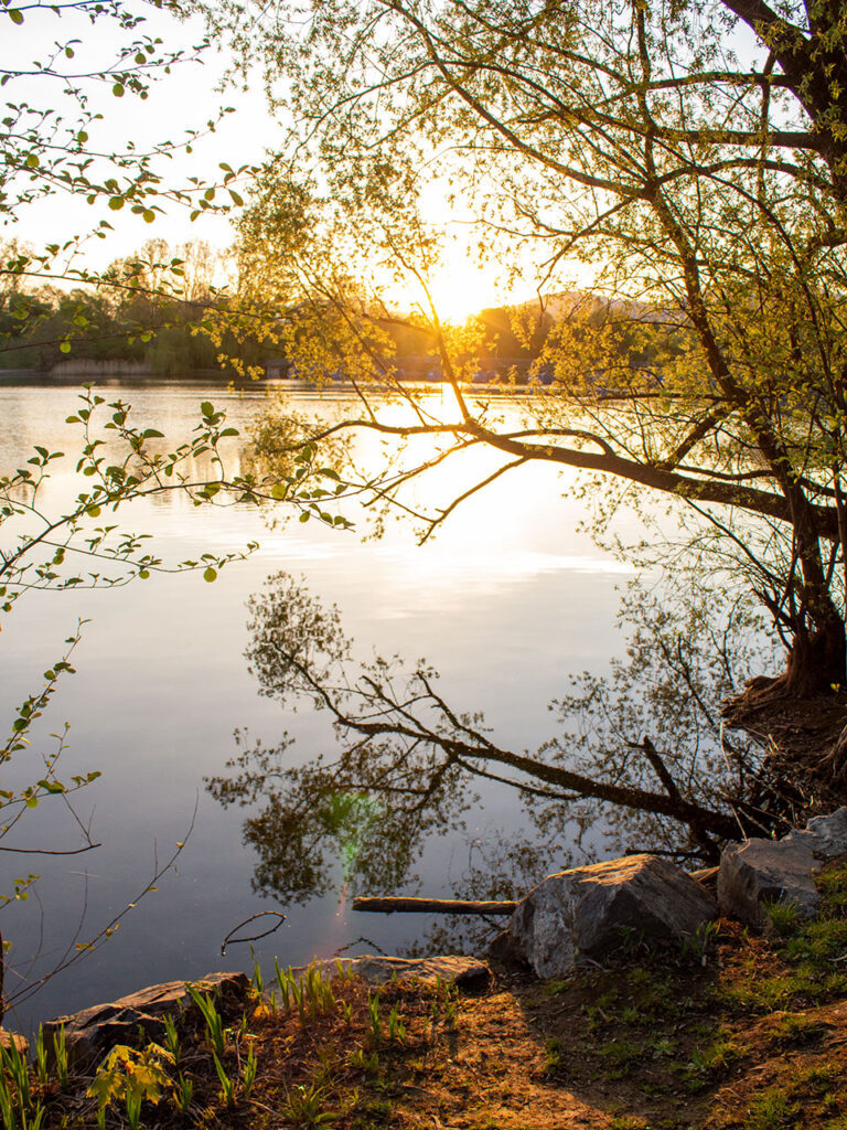 Tief stehende Sonne durch die Zweige über einem ruhigen See