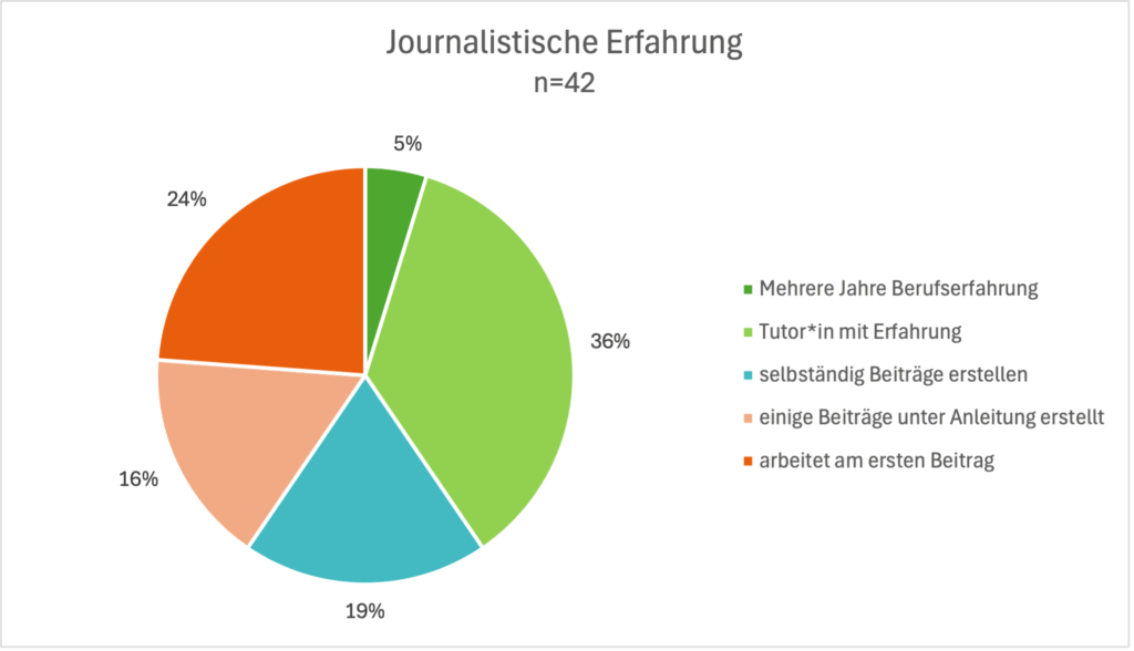 Abbildung 15: Journalistische Erfahrung