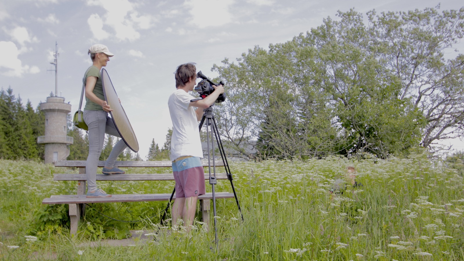 Wissen aufsaugen und teilen - HD Campus