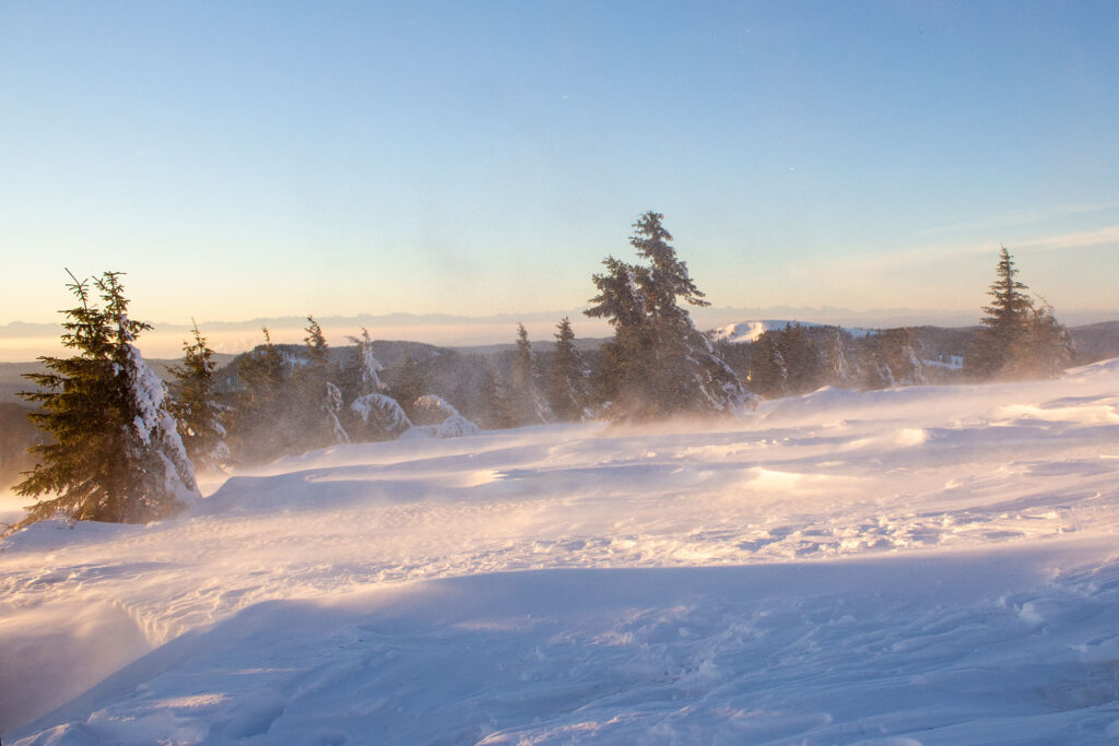 Blick nach Süden Richtung Herzogenhorn, im Hintergrund die Schweizer Alpen